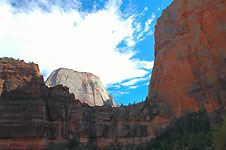 Klik hier voor een vergroting van de foto.