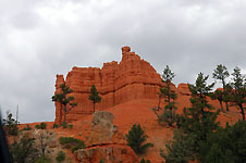 Klik hier voor een vergroting van de foto.