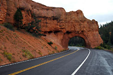 Klik hier voor een vergroting van de foto.