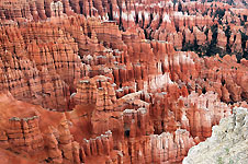 Klik hier voor een vergroting van de foto.