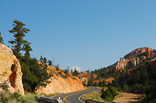 Klik hier voor een vergroting van de foto.