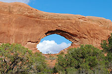 Klik hier voor een vergroting van de foto.