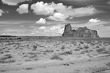 Klik hier voor een vergroting van de foto.