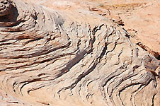 Klik hier voor een vergroting van de foto.