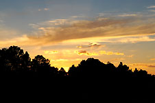 Klik hier voor een vergroting van de foto.