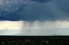 Klik hier voor een vergroting van de foto.