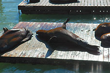 Klik hier voor een vergroting van de foto.