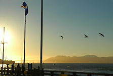 Klik hier voor een vergroting van de foto.