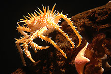 Klik hier voor een vergroting van de foto.