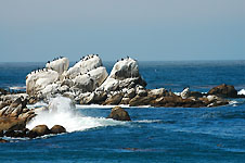 Klik hier voor een vergroting van de foto.