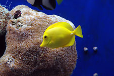 Klik hier voor een vergroting van de foto.