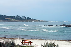 Klik hier voor een vergroting van de foto.