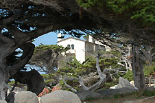 Klik hier voor een vergroting van de foto.