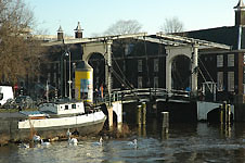 Klik hier voor een vergroting van de foto.