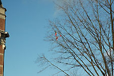 Klik hier voor een vergroting van de foto.