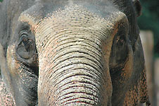 Klik hier voor een vergroting van de foto.