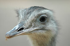 Klik hier voor een vergroting van de foto.