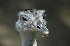 Klik hier voor een vergroting van de foto.