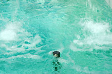 Klik hier voor een vergroting van de foto.