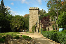 Klik hier voor een vergroting van de foto.