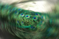 Klik hier voor een vergroting van de foto.