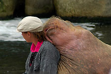 Klik hier voor een vergroting van de foto.