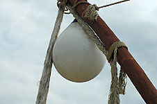 Klik hier voor een vergroting van de foto.