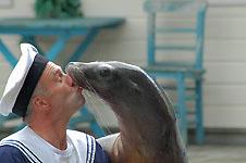 Klik hier voor een vergroting van de foto.