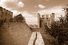 Klik hier voor een vergroting van de foto.