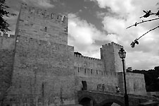 Klik hier voor een vergroting van de foto.