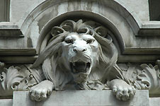 Klik hier voor een vergroting van de foto.