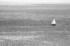 Klik hier voor een vergroting van de foto.