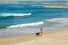 Klik hier voor een vergroting van de foto.