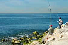 Klik hier voor een vergroting van de foto.