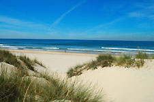 Klik hier voor een vergroting van de foto.