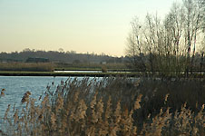 Klik hier voor een vergroting van de foto.