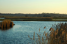 Klik hier voor een vergroting van de foto.