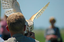 Klik hier voor een vergroting van de foto.