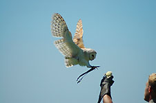 Klik hier voor een vergroting van de foto.