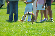 Klik hier voor een vergroting van de foto.