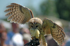 Klik hier voor een vergroting van de foto.