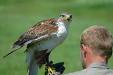 Klik hier voor een vergroting van de foto.