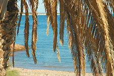 Klik hier voor een vergroting van de foto.