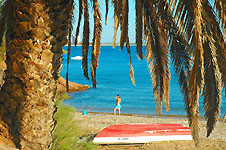 Klik hier voor een vergroting van de foto.