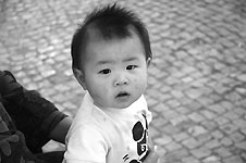 Klik hier voor een vergroting van de foto.