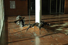 Klik hier voor een vergroting van de foto.