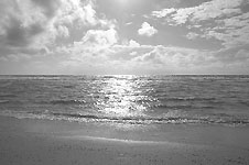 Klik hier voor een vergroting van de foto.