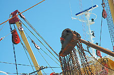 Klik hier voor een vergroting van de foto.