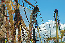 Klik hier voor een vergroting van de foto.