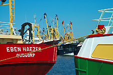 Klik hier voor een vergroting van de foto.